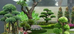 25 Desain Taman Cantik di Halaman Rumah
